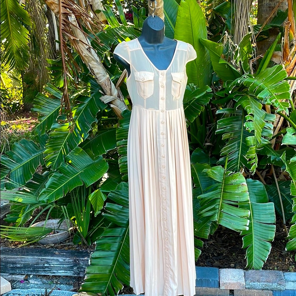 classic sheer pleated dress